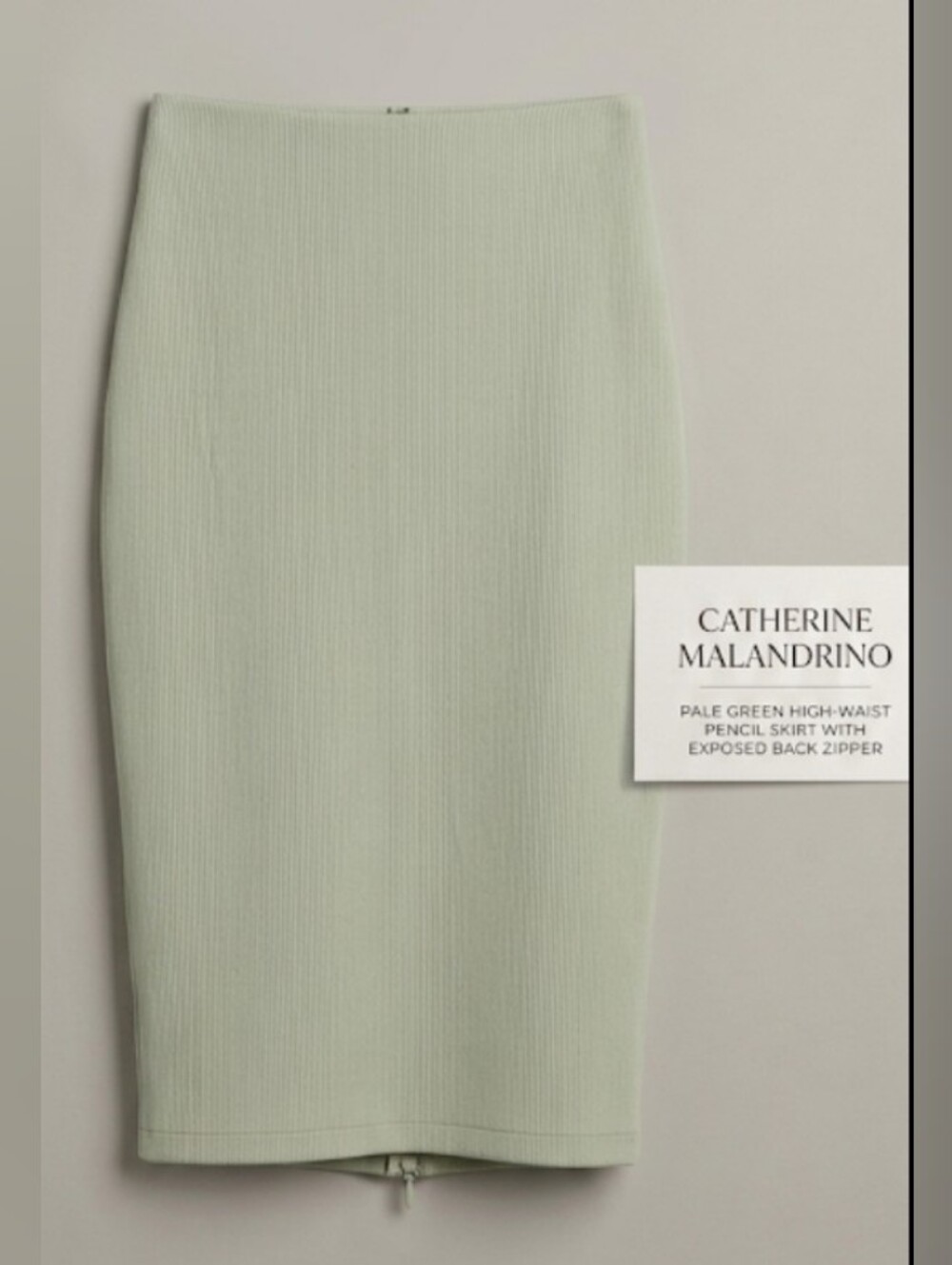 NWT Catherine Malandrino Pale Green Pencil Skirt Exposed Back Zip (Sz 8)